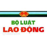 Bố cục của bộ luật lao động mới nhất ban hành năm 2019 hiện đang áp dụng