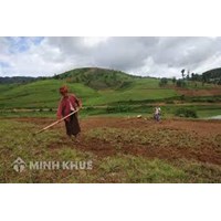 Xã có được giao đất lưu không cho các cá nhân, hộ gia đình sử dụng không ? 