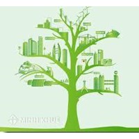 Phân tích các ảnh hưởng mang tính phổ biến của môi trường ? Cách phát triển môi trường bền vững ?