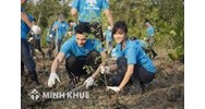 Phân tích các nguyên tắc chủ yếu của luật môi trường hiện nay?
