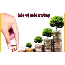 Nguồn của luật môi trường là gì ? Phân tích nguồn của luật môi trường ? 