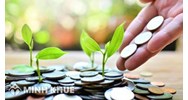 Ô nhiễm môi trường, suy thoái môi trường và sự cố môi trường là gì?