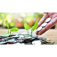 Ô nhiễm môi trường, suy thoái môi trường và sự cố môi trường là gì?
