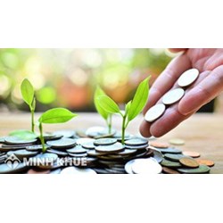 Ô nhiễm môi trường, suy thoái môi trường và sự cố môi trường là gì?