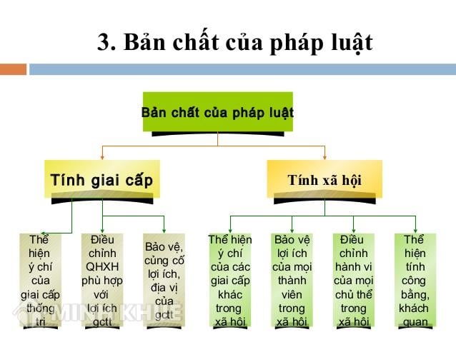 Dấu Kín Hay Giấu Kín: Hướng Dẫn Sử Dụng Chính Tả Đúng Và Hiệu Quả