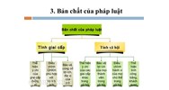 Bản chất của pháp luật là gì? Tính giai cấp pháp luật là gì?