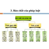 Bản chất của pháp luật là gì? Tính giai cấp pháp luật là gì?