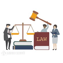 Phân tích bản chất và đặc điểm của pháp luật Việt Nam hiện nay ?
