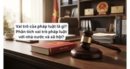 Vai trò của pháp luật là gì? Phân tích vai trò pháp luật với nhà nước và xã hội?
