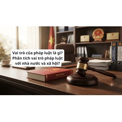 Vai trò của pháp luật là gì? Phân tích vai trò pháp luật với nhà nước và xã hội?
