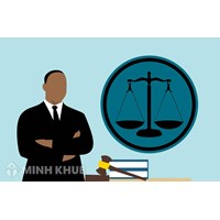 Phân tích tính hiệu lực của văn bản quy phạm pháp luật ở Việt Nam ?
