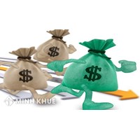 Phân tích hoạt động tín dụng quỹ tín dụng nhân dân, chi nhánh ngân hàng nước ngoài ?