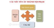 Hậu quả thiệt hại của tội phạm là gì? Ví dụ hậu quả của tội phạm