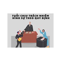 Tuổi chịu trách nhiệm hình sự theo Điều 12 Bộ Luật Hình sự