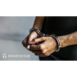 Phân tích các dấu hiệu của đồng phạm? Cho ví dụ về đồng phạm?