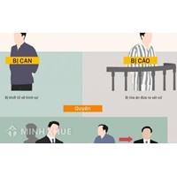 Điều kiện chịu trách nhiệm hình sự của pháp nhân thương mại là gì ?
