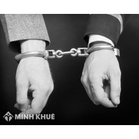 Phân tích các căn cứ quyết định hình phạt đối với pháp nhân thương mại?