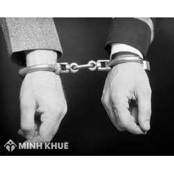 Phân tích các căn cứ quyết định hình phạt đối với pháp nhân thương mại?