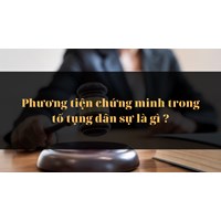 Phương tiện chứng minh trong tố tụng dân sự là gì ?
