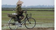 Phân tích khái niệm chế độ sở hữu toàn dân về đất đai ?