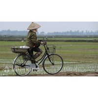 Phân tích khái niệm chế độ sở hữu toàn dân về đất đai ?