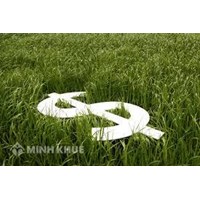 Quy định về các khoản nghĩa vụ tài chính từ đất đai: Tiền sử dụng đất, Tiền thuê đất