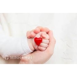 Quyền, nghĩa vụ giữa cha mẹ và con cái trong gia đình?