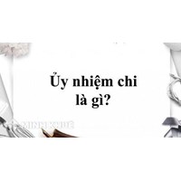 Quyền và nghĩa vụ của chủ thể khi thanh toán bằng uỷ nhiệm chi