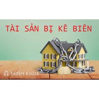 Các nguyên tắc áp dụng biện pháp cưỡng chế thi hành án dân sự?