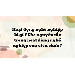 Hoạt động nghề nghiệp là gì ? Các nguyên tắc trong hoạt động nghề nghiệp của viên chức ?