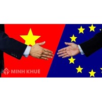 Quy phạm luật quốc tế là gì ? Phân loại quy phạm quốc tế
