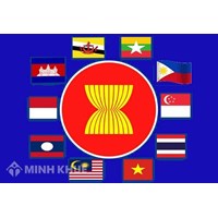 Luật tổ chức quốc tế là gì ? Các nguyên tắc của luật tổ chức quốc tế