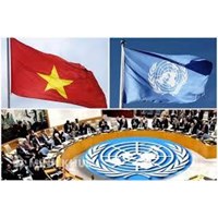 Các cơ quan nhà nước thực hiện quan hệ đối ngoại, ngoại giao ?  