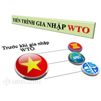 Thiết chế tài phán của Tổ chức thương mại thế giới (WTO) ?