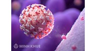 Luật quốc tế không cấm mà vi phạm thì có phát sinh trách nhiệm vật chất không ?