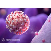 Luật quốc tế không cấm mà vi phạm thì có phát sinh trách nhiệm vật chất không ?