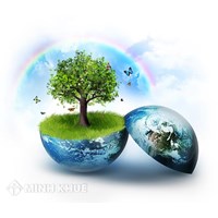 Mục đích, ý nghĩa của quá trình đánh giá môi trường là gì ?