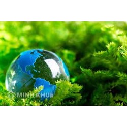 Quy định pháp luật về đánh giá môi trường chiến lược và đánh giá tác động môi trường