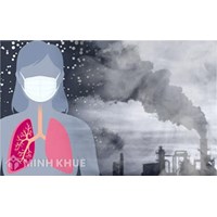 Quy định pháp luật về phòng chống, khắc phục ô nhiễm không khí, cải thiện chất lượng không khí