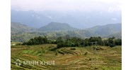 Các cơ quan quản lý nhà nước về kiểm soát suy thoái tài nguyên đất ? Xử lý vi phạm tài nguyên đất