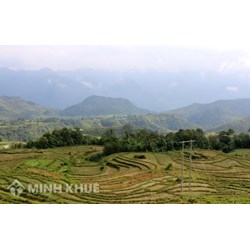 Các cơ quan quản lý nhà nước về kiểm soát suy thoái tài nguyên đất ? Xử lý vi phạm tài nguyên đất