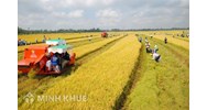 Quy định pháp luật hiện nay về kiểm soát suy thoái tài nguyên đất ?