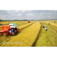 Quy định pháp luật hiện nay về kiểm soát suy thoái tài nguyên đất ?