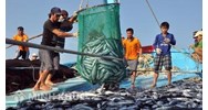Những quy định về khai thác thuỷ sản có nguy cơ gây hại đến nguồn thuỷ sinh ?