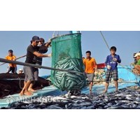 Những quy định về khai thác thuỷ sản có nguy cơ gây hại đến nguồn thuỷ sinh ?