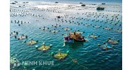 Xử lý vi phạm pháp luật về bảo vệ nguồn lợi thủy sinh ?