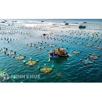 Xử lý vi phạm pháp luật về bảo vệ nguồn lợi thủy sinh ?
