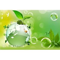 Quyền, nghĩa vụ của Việt Nam khi tham gia các công ước quốc tế về kiểm soát ô nhiễm môi trường