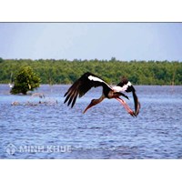 Thực thi công ước Ramsar về các vùng đất ngập nước có tầm quan trọng quốc tế 