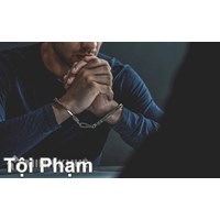 Tội phạm học là gì? Đối tượng nghiên cứu, đặc điểm cơ bản của tội phạm học